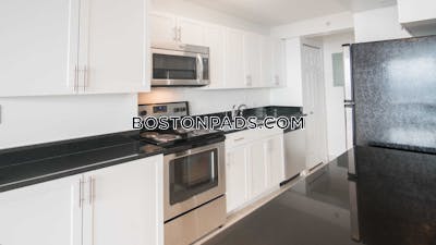 West End Apartment for rent 2 Bedrooms 2 Baths Boston - $5,005