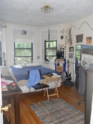 Northeastern/symphony Apartment for rent 1 Bedroom 1 Bath Boston - $3,200
