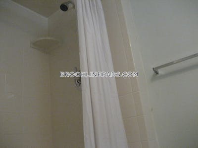 Brookline 0 Bed 1 Bath BROOKLINE- WASHINGTON SQUARE $2,100  Washington Square - $2,100