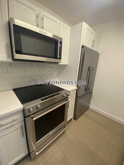 Downtown 1 Bed 1 Bath Boston - $3,084 No Fee