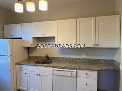 Allston 5 Beds 2 Baths Boston - $5,300