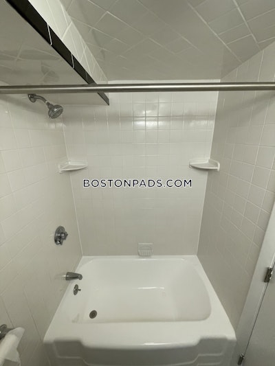 Brighton Studio 1 Bath Boston - $1,900 No Fee