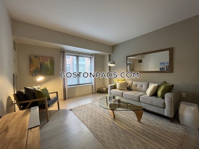 South End Luxury 1 Bed 1 Bath on Harrison Ave. in South End  Boston - $2,945