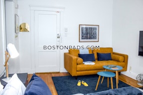 Fenway/kenmore 1 Bed 1 Bath Boston - $2,950