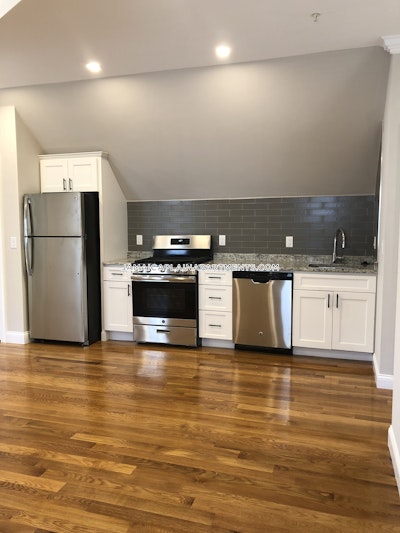 Jamaica Plain By far the best gut renovated 3 bed apartment on Woodside Ave Boston - $3,300