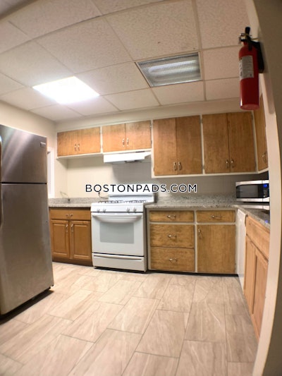 Northeastern/symphony Apartment for rent 5 Bedrooms 3.5 Baths Boston - $7,500