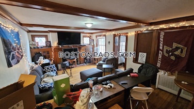 Brighton 7 Beds 3 Baths Boston - $11,200