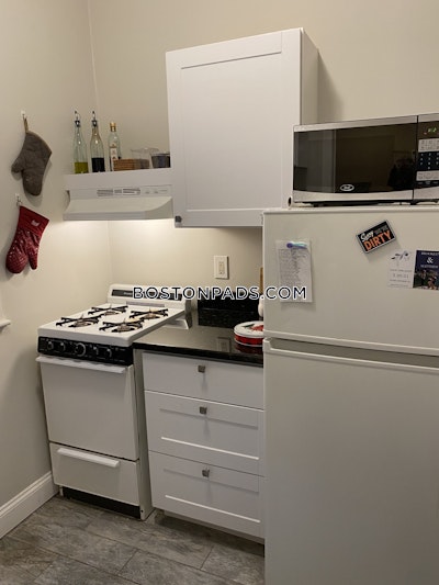 Allston Apartment for rent 1 Bedroom 1 Bath Boston - $2,550