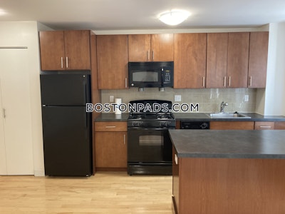 Brighton Apartment for rent 1 Bedroom 1 Bath Boston - $2,662