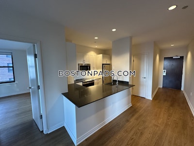 Downtown Apartment for rent 2 Bedrooms 2 Baths Boston - $4,480