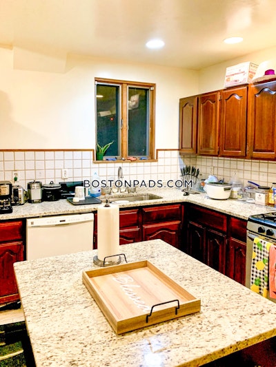 Roxbury 4 Beds 2 Baths Boston - $4,500 50% Fee